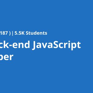 IBM Back-end JavaScript Developer
