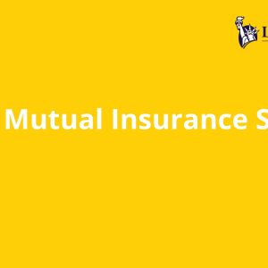 Liberty Mutual Insurance Sales Agent