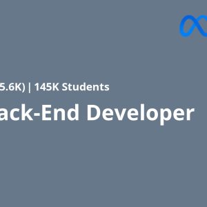 Meta Back-End Developer