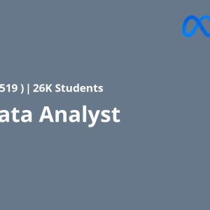 Meta Data Analyst
