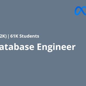 Meta Database Engineer