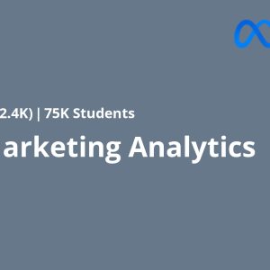 Meta Marketing Analytics