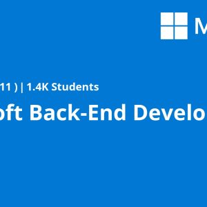 Microsoft Back-End Developer
