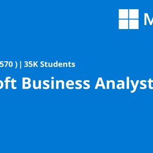Microsoft Business Analyst