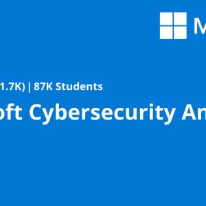 Microsoft Cybersecurity Analyst