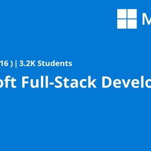 Microsoft Full-Stack Developer