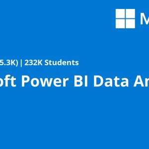 Microsoft Power BI Data Analyst