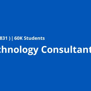 SAP Technology Consultant