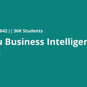 Tableau Business Intelligence Analyst