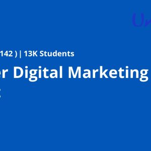 Unilever Digital Marketing Analyst