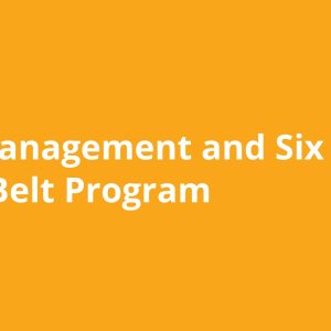 Lean Management and Six Sigma Green Belt Program