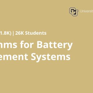 Algorithms for Battery Management Systems