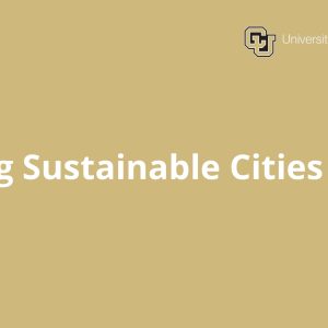 Building Sustainable Cities