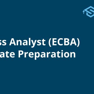 Business Analyst (ECBA) Certificate Preparation 