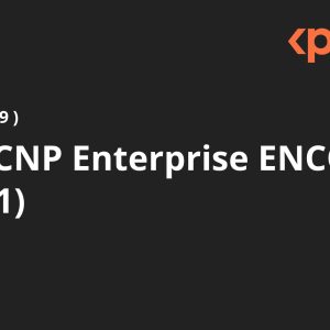 Cisco CCNP Enterprise ENCOR (350-401)