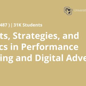 Concepts, Strategies, and Analytics in Performance Marketing and Digital Advertising