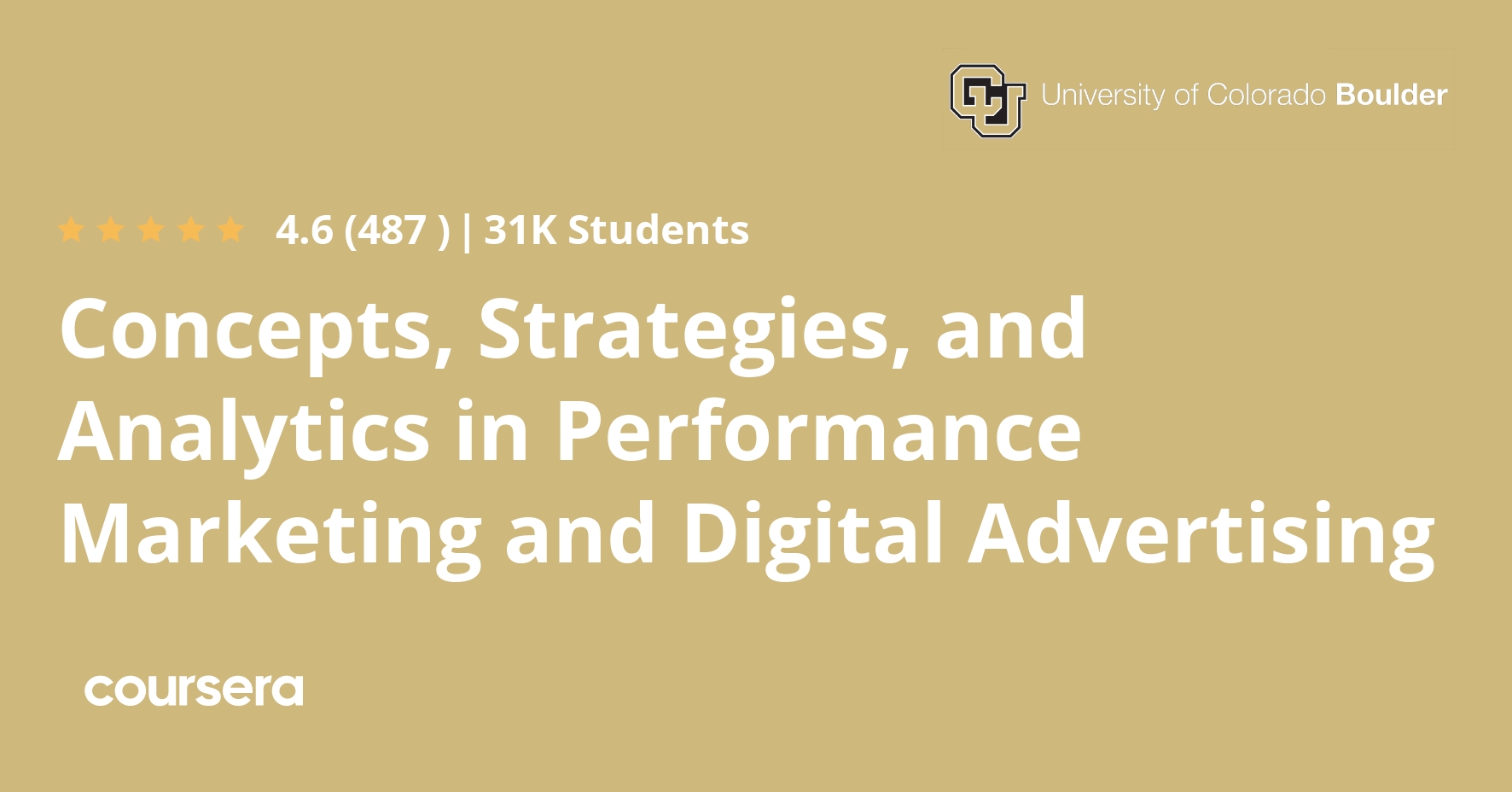 Concepts, Strategies, and Analytics in Performance Marketing and Digital Advertising