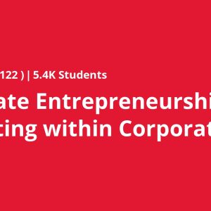 Corporate Entrepreneurship: Innovating within Corporations