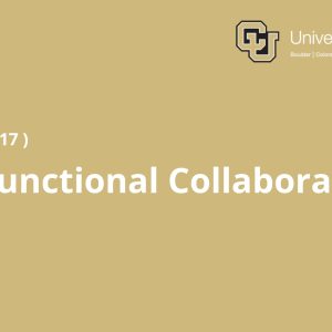 Cross-Functional Collaboration