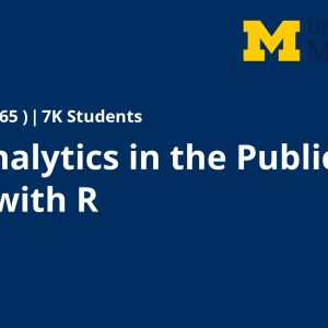 Data Analytics in the Public Sector with R