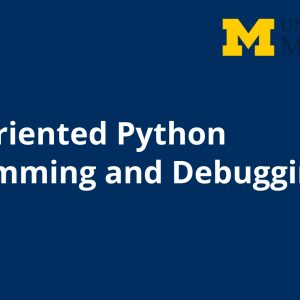Data-Oriented Python Programming and Debugging