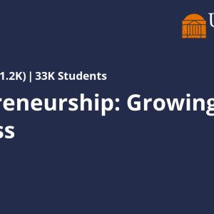 Entrepreneurship: Growing Your Business