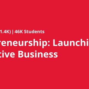 Entrepreneurship: Launching an Innovative Business