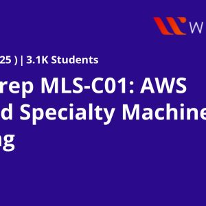 Exam Prep MLS-C01: AWS Certified Specialty Machine Learning