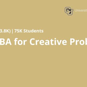 Excel/VBA for Creative Problem Solving