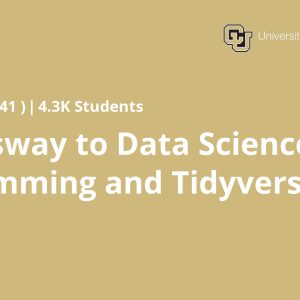 Expressway to Data Science: R Programming and Tidyverse