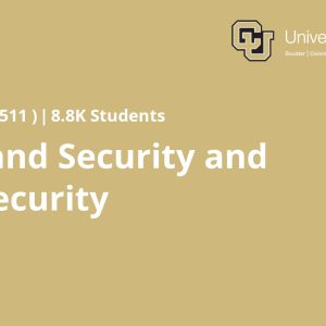 Homeland Security and Cybersecurity