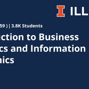 Introduction to Business Analytics and Information Economics