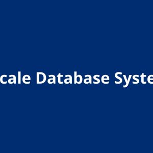 Large-Scale Database Systems