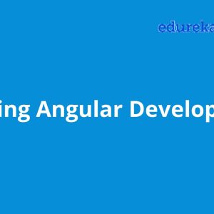 Mastering Angular Development