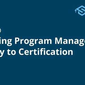 Mastering Program Management: Strategy to Certification