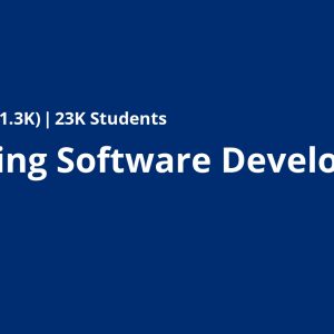 Mastering Software Development in R