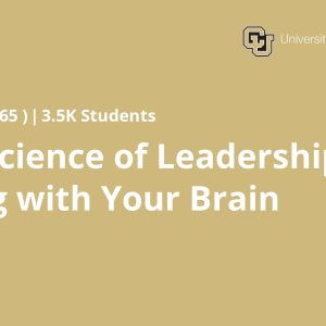 Neuroscience of Leadership: Leading with Your Brain