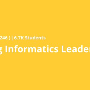 Nursing Informatics Leadership