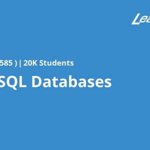 Oracle SQL Databases