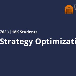 Pricing Strategy Optimization