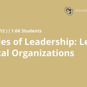 Principles of Leadership: Leading Technical Organizations