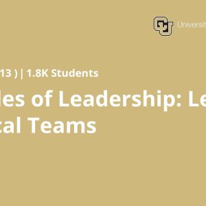 Principles of Leadership: Leading Technical Teams