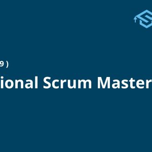 Professional Scrum Master