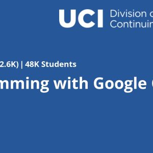 Programming with Google Go