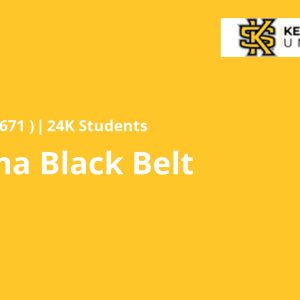 Six Sigma Black Belt