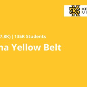 Six Sigma Yellow Belt