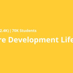 Software Development Lifecycle