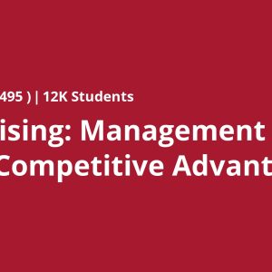 Strategising: Management for Global Competitive Advantage