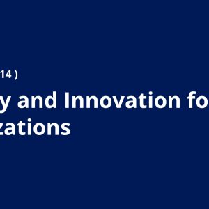 Strategy and Innovation for Agile Organizations