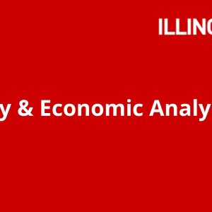 Strategy & Economic Analysis